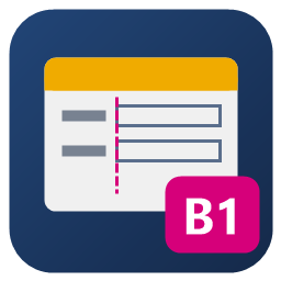 B1 DevKit for SAP Business One